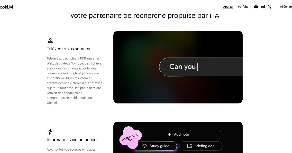 Capture d'écran de NotebookLM